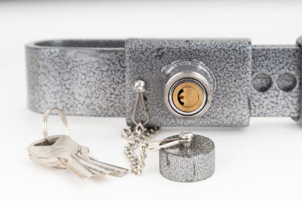 rffhvsca.jpg Serratura antifurto l= 256-342mm zincato