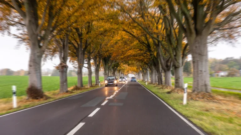 Quali Sono le Strade Extraurbane in Italia: Definizione e Classificazione